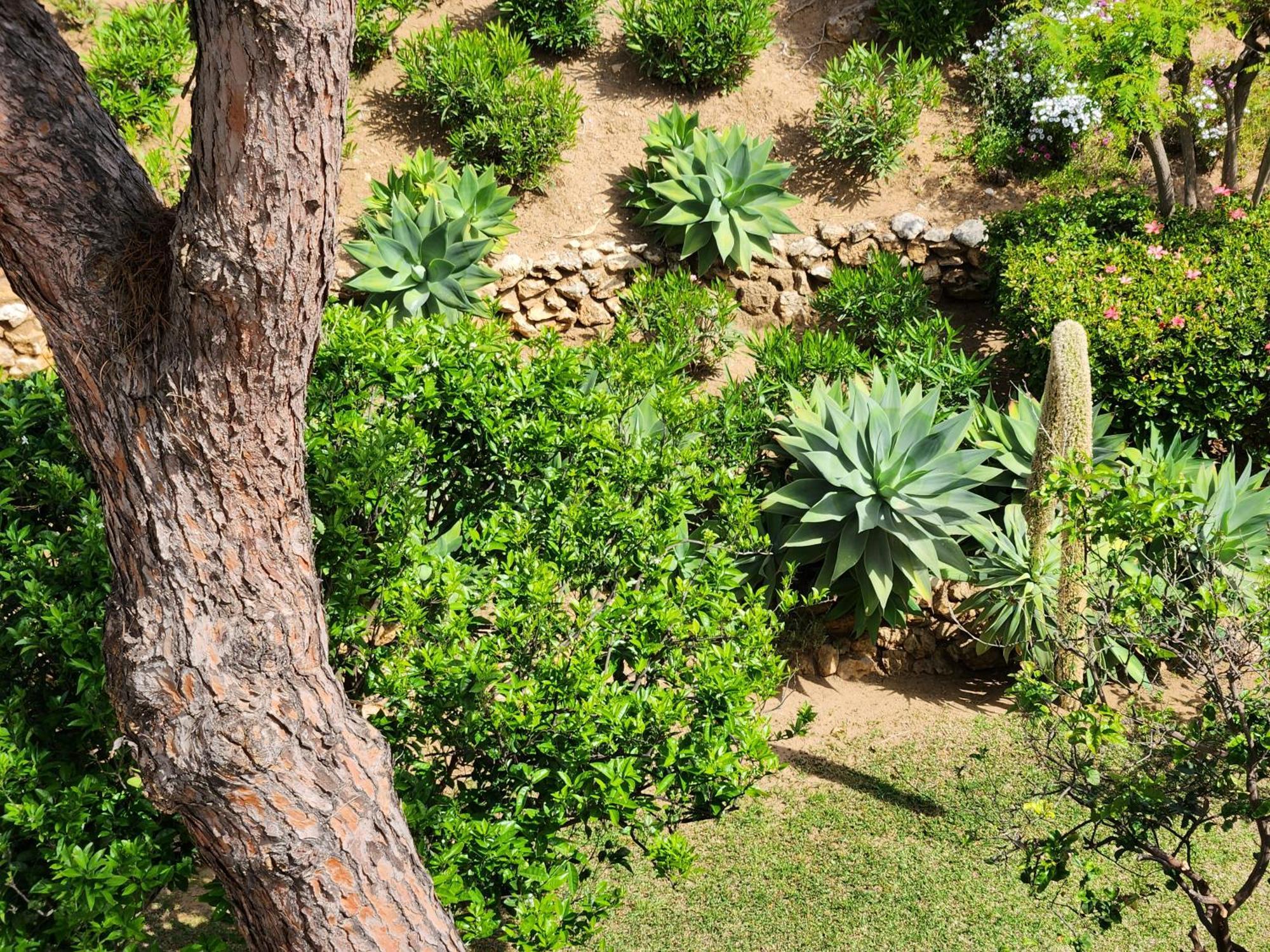 Elena Flat A Little Paradise Right On The Beach Sitio de Calahonda Екстер'єр фото