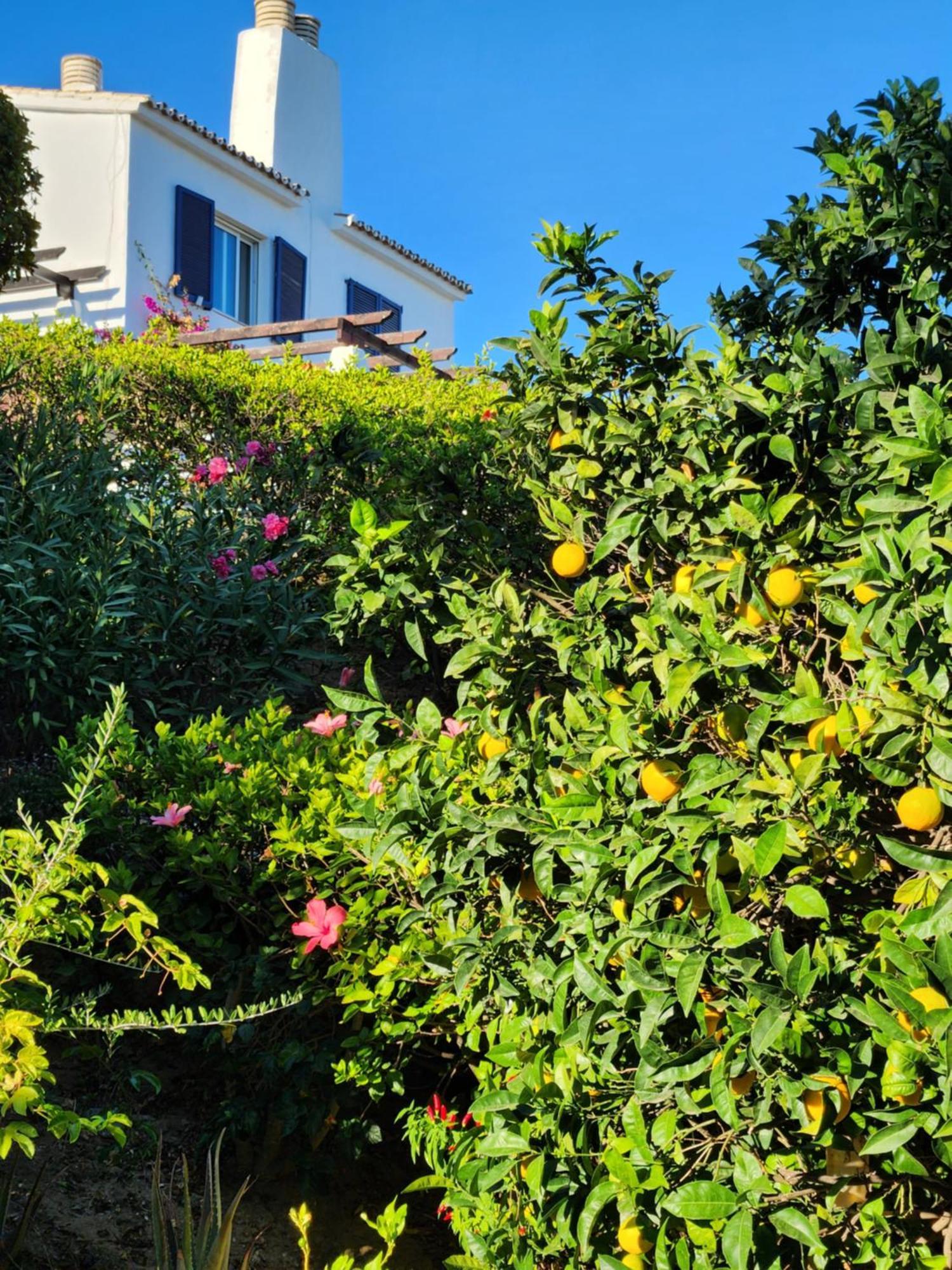 Elena Flat A Little Paradise Right On The Beach Sitio de Calahonda Екстер'єр фото